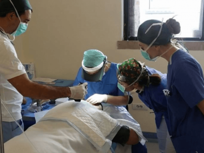 Dr Marija Balković u Pallaoro klinici u Padovi