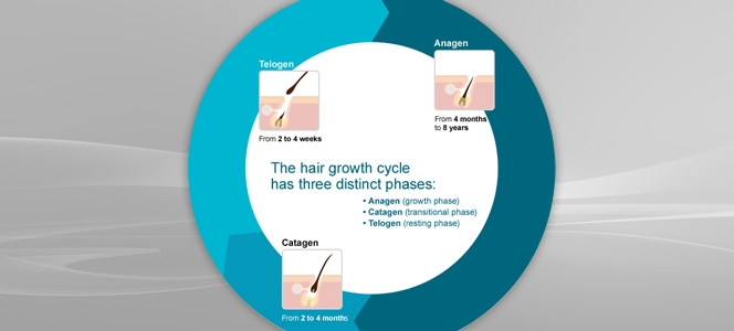 Ilustracija of Hair Growth Cycles